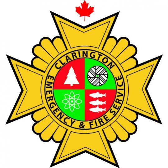 Organization Logo
