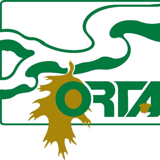 Organization Logo