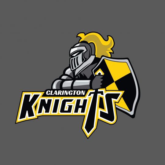 Organization Logo