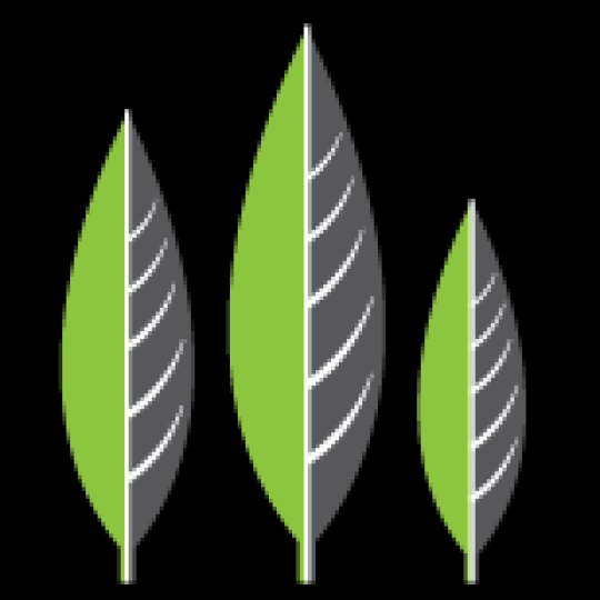 Organization Logo