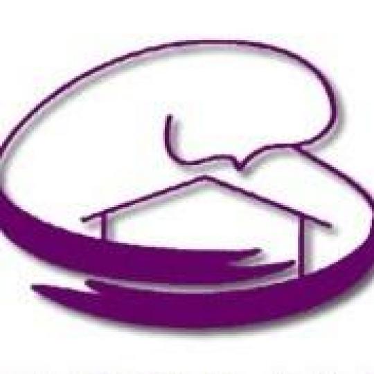 Organization Logo
