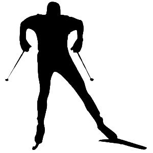 Program Logo