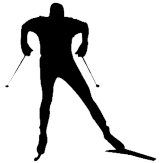 Program Logo