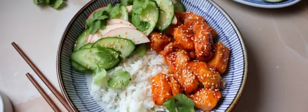 Korean Chicken Bowl with Apple and Cucumber Salad