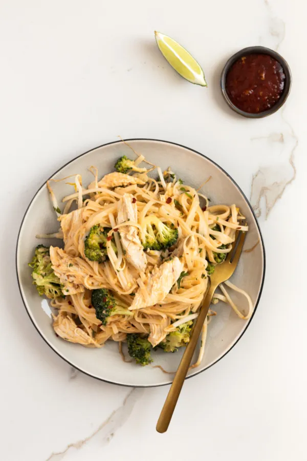 ONE POT DE POULET ET DE NOUILLES EN SAUCE ÉPICÉE