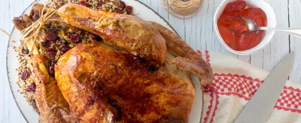 TURKEY WITH QUINOA, CARAMELIZED APPLE, AND CRANBERRY STUFFING