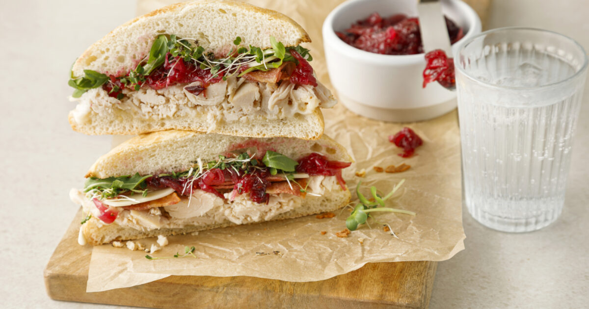 Turkey Sandwiches with Cranberry and Onion Confit Recipes | Exceldor