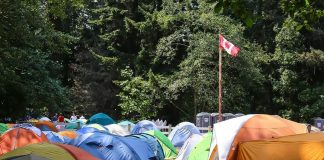 کشته شدن دانش آموز دبیرستانی به خاطر سقوط درخت در گردش علمی دانش آموزان