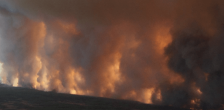 تاکنون بیش از نیم میلیون هکتار از اراضی آلبرتا خاکستر شده