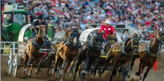 لوازم ضروری برای کلگری استمپید ۲۰۱۹