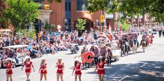 برنده بلیط جایگاه VIP رژه استمپید شوید