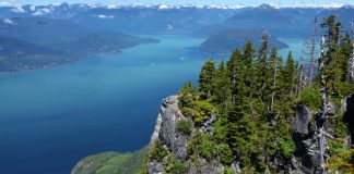 فعالیت اتوبوسهای رایگان از مبدا ونکوور به دل طبیعت