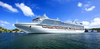 جریمه 20 میلیون دلاری برای خطوط کشتیرانی کروز