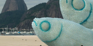 آیا وزن زبالههای پلاستیکی اقیانوسها از ماهیها بیشتر میشود؟