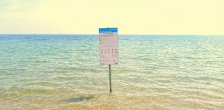 سه ساحل تورنتو به دلیل تراکم باکتری ای.کولی خطرناک اعلام شدند