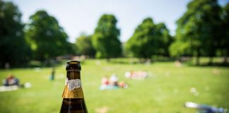 جریمه نوشیدن الکل در پارکهای تورنتو