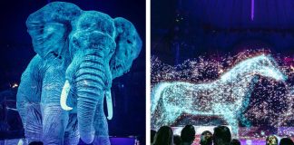 استفاده مبتکرانهٔ یک سیرک آلمانی از هولوگرام به جای حیوان زنده