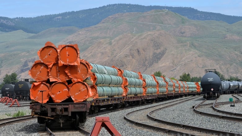 ادامه منازعات بر سر خط لوله Trans Mountain