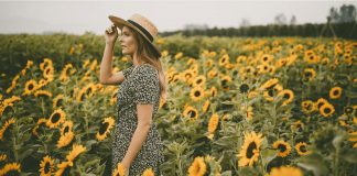 ریچموند ونکوور برای اولین بار در ماه آگوست، میزبان فستیوال گل آفتابگردان خواهد بود