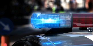 سرقت و ارتکاب جرم با استفاده از اسپری خرس