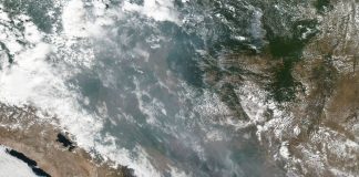 پیشنهاد کمک کانادا برای مهار آتشسوزی جنگلهای آمازون