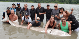 صید ماهی خاویاری ۳۶۰ کیلوگرمی در رودخانهٔ فریزر