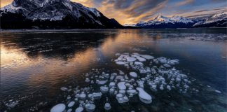 آلبرتای زیبا: دریاچه آبراهام، سرزمین عجایب زمستانی