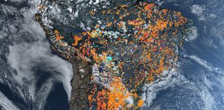 آمازون در میان شعلههای آتش