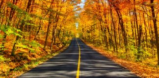 پیشبینی آبوهوای کانادا برای فصل پاییز