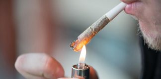 مرکز آمار کانادا: احتمال استفاده مردان از کانابیس دو برابر زنان است