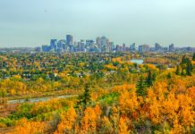 کاشت داوطلبانه ۷۵۰ درخت در پارکهای کلگری کاشت داوطلبانه درخت