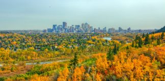 کاشت داوطلبانه ۷۵۰ درخت در پارکهای کلگری کاشت داوطلبانه درخت