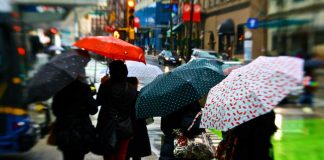 ۱۰ سرگرمی برای روزهای بارانی ونکوور