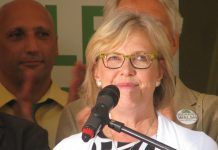 رهبر حزب سبز کانادا خواستار تقویت قوانین حریم خصوصی دیجیتال شد