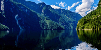 خرید بخشی از گذرگاه Princess Louisa برای تبدیل به پارک حفاظتشده