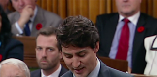 رسوایی Blackface ترودو فقط یک نشانه از تبعیض سیستماتیک کانادا است