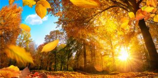 پیشبینی هواشناسی فصل پاییز و زمستان کانادا منتشر شد