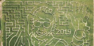 هزارتویی در مزرعه ذرت نزدیک تورنتو هزارتوی ذرت