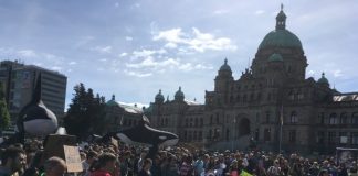 تظاهرات اقلیمی دانشآموزان ویکتوریایی در مرکز شهر