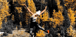 فصل طلایی برای درختهای کاج آلبرتا از راه رسید