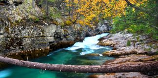آلبرتای زیبا: تنگه Maligne رویای تمام کوهنوردان