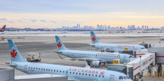 میوههای بدبو، هواپیمای ایر کانادا را مجبور به فرود اضطراری کرد