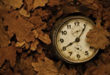 رای آلبرتاییها به تغییر ساعت تابستانی