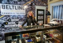 استان آلبرتا پایتخت کانابیس کانادا است