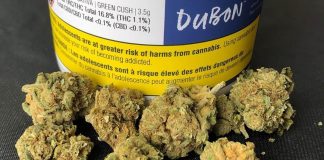 افزایش سن مجاز مصرف کانابیس قانونی در کبِک به ۲۱ سال