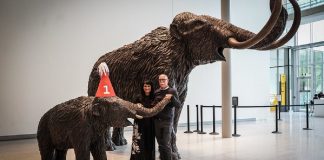 استقبال چشمگیر شهروندان آلبرتا در سال نخست بازگشایی موزه Royal Alberta