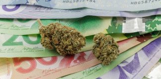 صنعت کانابیس ۸ میلیارد دلار به تولید ناخالص کانادا افزوده است