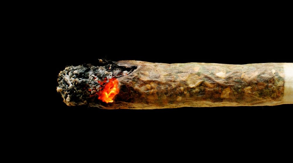 CannTrust باید 77 میلیون دلار از محصولات کانبیس خود را نابود کند