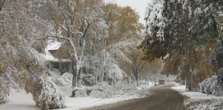 امدادرسانی شهرداری کلگری به وینیپگ پس از طوفان زمستانی