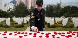 روش صحیح نصب و استفاده از نماد شقایق برای Remembrance Day
